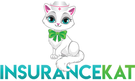 Insurance Kat Logo